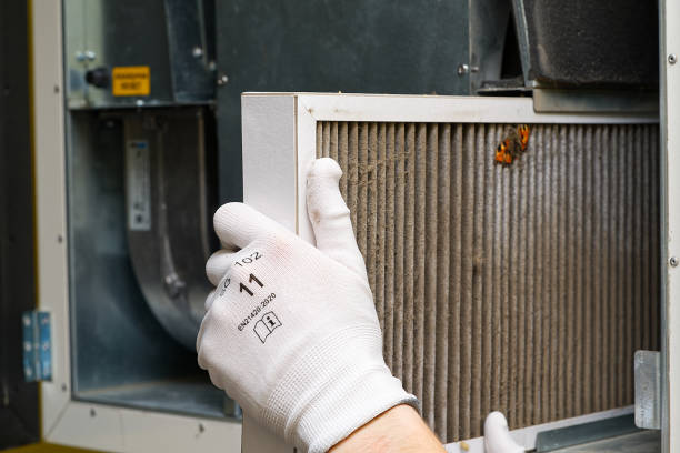 Best Ductwork Cleaning Services  in Sumner, IL